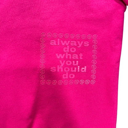 ADWYSD Logo Pink Hoodie