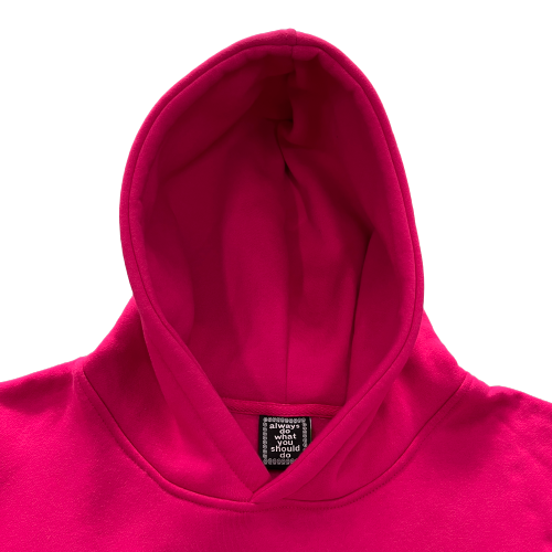 ADWYSD Logo Pink Hoodie